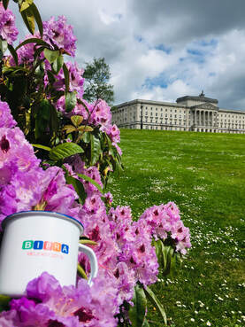 BIPRA mug in grounds of Stormont 
